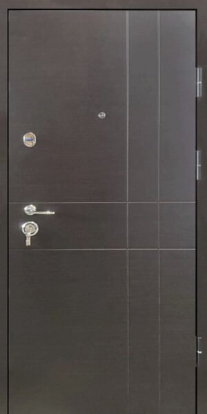 Metalinės durys butui, 602 serijai, modelis City B308