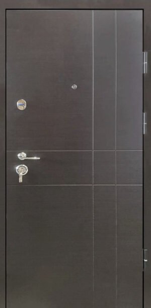 Metalinės durys butui, 602 serijai, modelis City B308