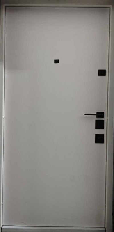 Metalinės durys butui Termo Trend kvadro Gluds - Image 2